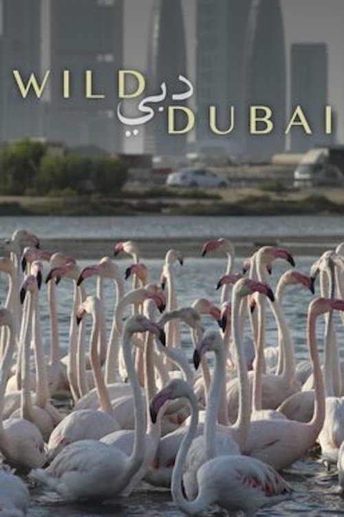 Wild Dubai