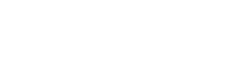 The Survivor