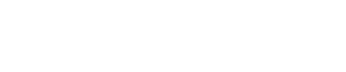Mr. Destiny