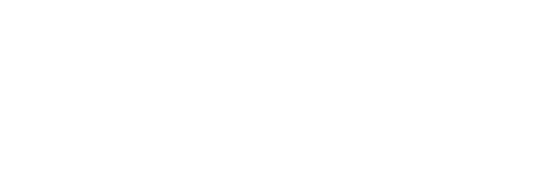 The Assistant