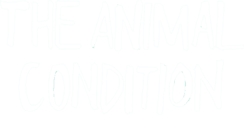 The Animal Condition