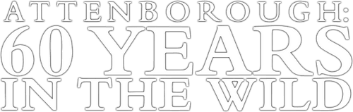 Attenborough: 60 Years in the Wild