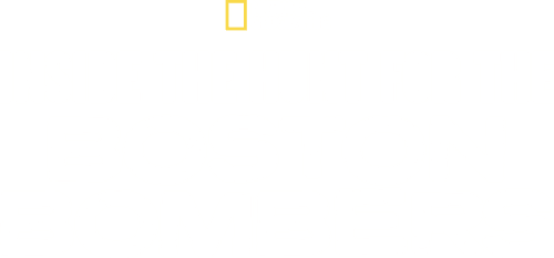 Inside the Hunt for the Boston Bombers