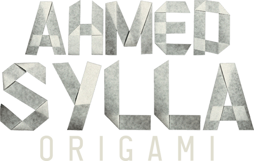 Ahmed Sylla - Origami