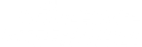 Homeland Guardian