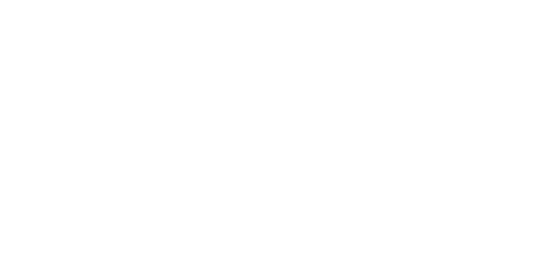 The Choe Show