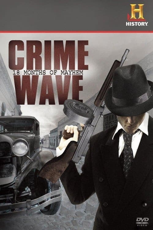 Crime Wave: 18 Months of Mayhem