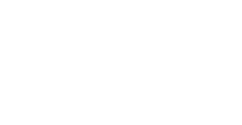 The Magic Voice Of A Rebel