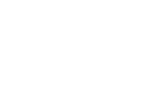 Senna by Ayrton