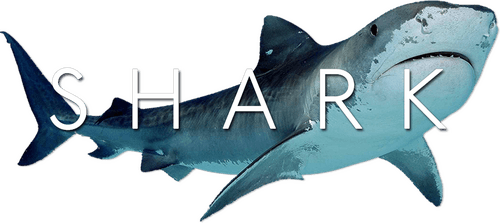 Shark
