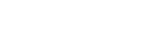 Allegiance
