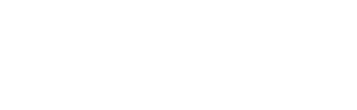 Visitor Q