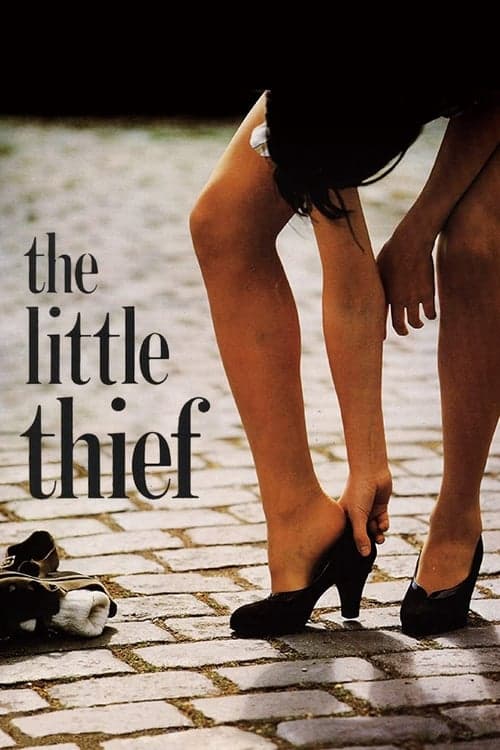 The Little Thief