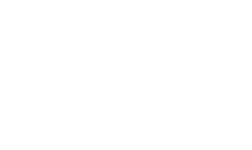 Webcast