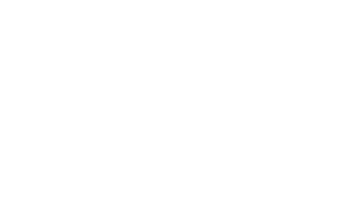 The Bookshop