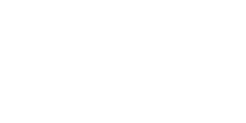 The Werewolf of Washington