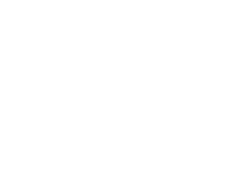 My Big Fat Greek Wedding