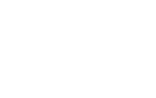 Bahnsinn Riedbahn.