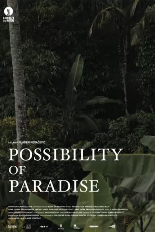 Possibility of Paradise