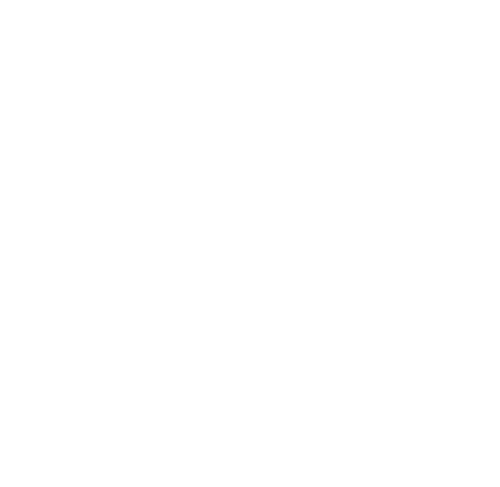 Girl Meets Boy