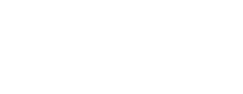 Bobi Wine: The People's President