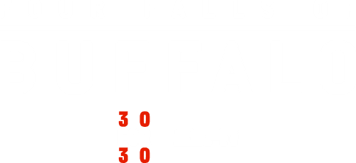 Four Falls of Buffalo