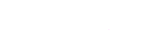 Professionals for a Massacre