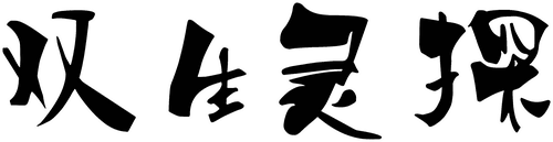Twin Spirit Detectives