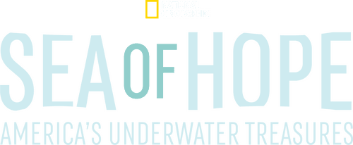 Sea of Hope: America's Underwater Treasures