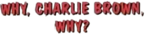 Why, Charlie Brown, Why?