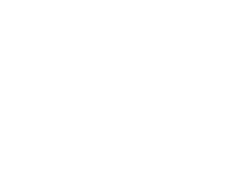 Sisid