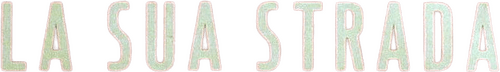 La sua strada