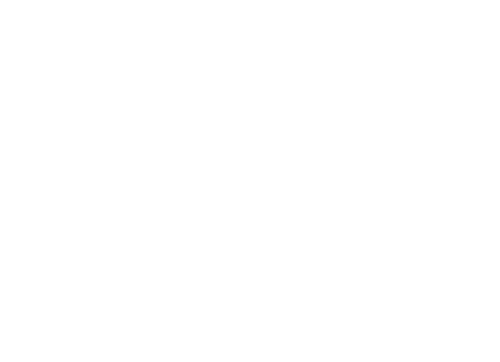 Zeroes