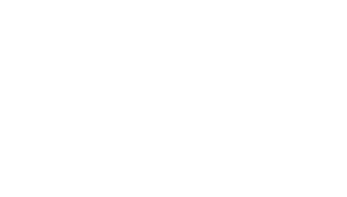 Adam Ray: Like and Subscribe