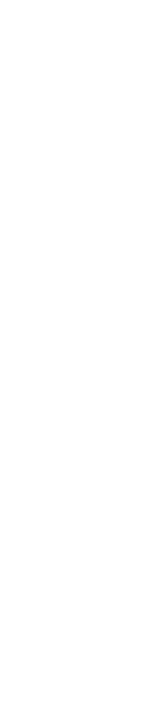 A Geisha's Diary