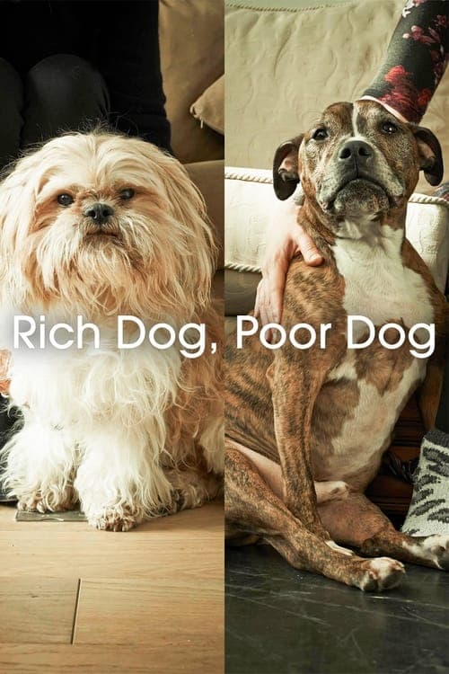 Rich Dog, Poor Dog