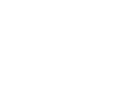 The Imperial Swordsman