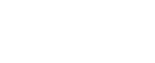 Mickey's Birthday Party