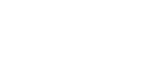Christmas with the Singhs