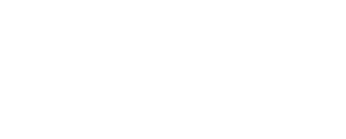 Tricky Brains