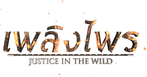 Justice in the Wild