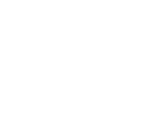 Illegal Lives