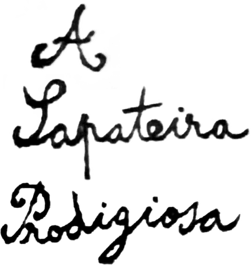 A Sapateira Prodigiosa