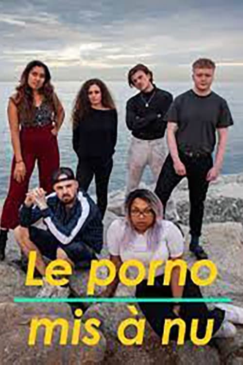 Le Porno mis à nu