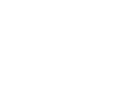 Punch