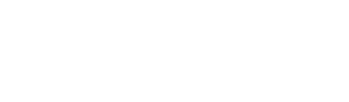 Disaster Autopsy