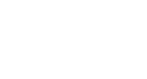 Primal