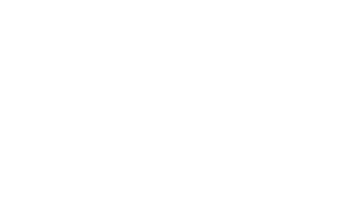 The Blind Shot