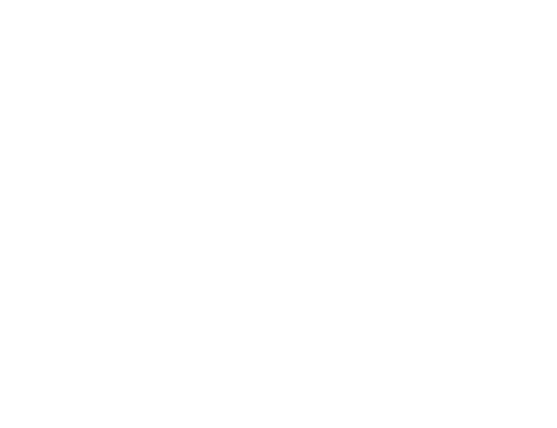 Macon County Line