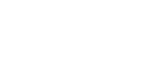 The Invisible Witness